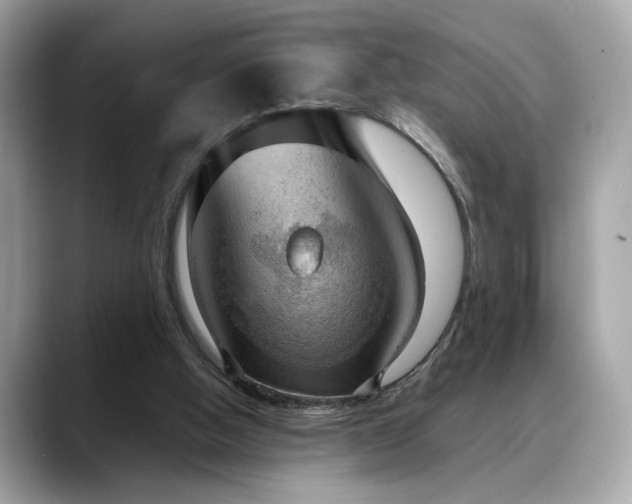 X0000088740058200705311455