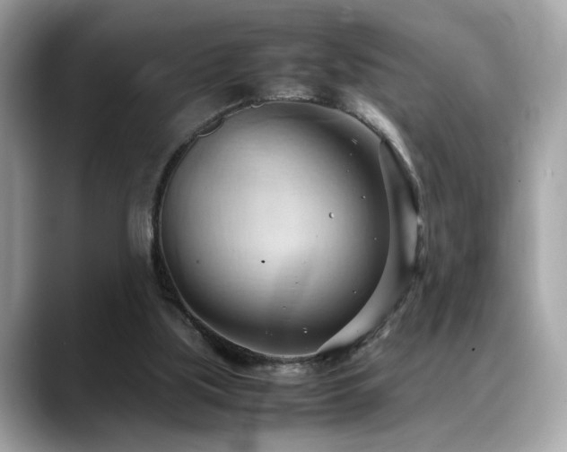X0000088740059200705311455
