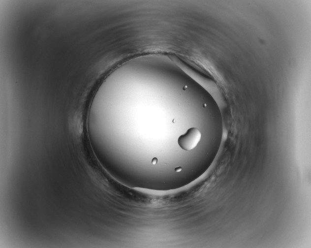 X0000088740060200705311455