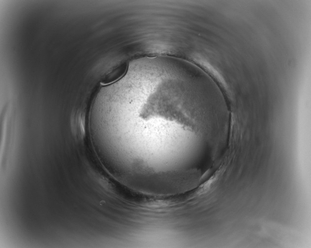 X0000088740062200705311455