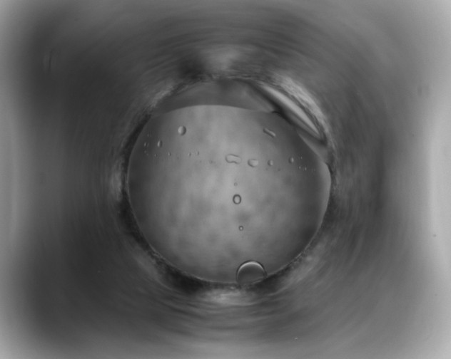 X0000088740065200705311455
