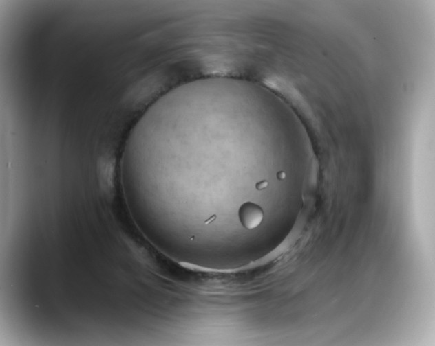 X0000088740066200705311455