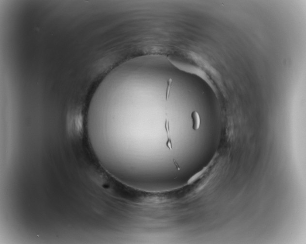 X0000088740067200705311455