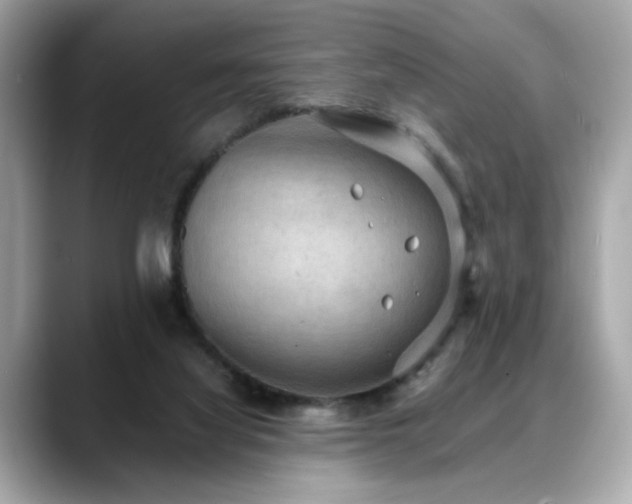 X0000088740068200705311455