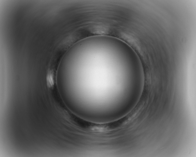 X0000088740069200705311455