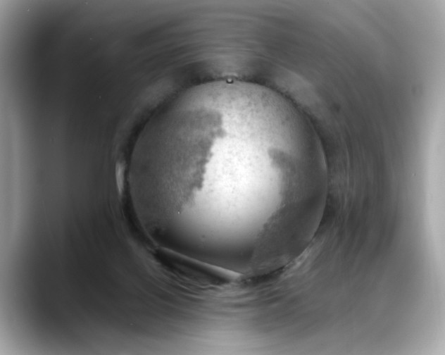 X0000088740070200705311455