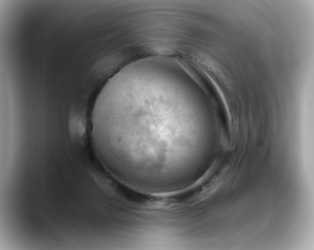 X0000088740072200705311455