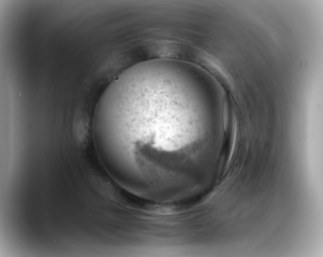X0000088740073200705311455