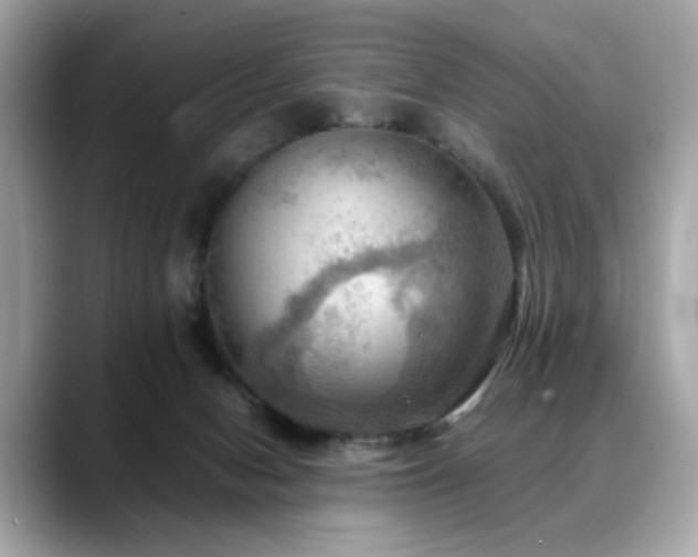 X0000088740078200705311455