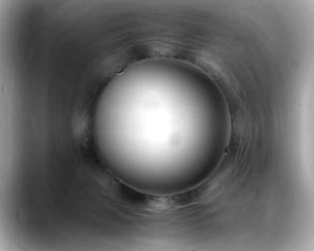 X0000088740079200705311455
