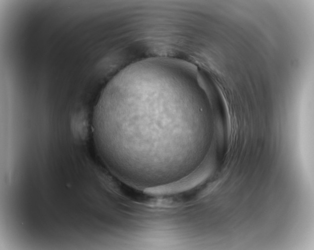 X0000088740080200705311455