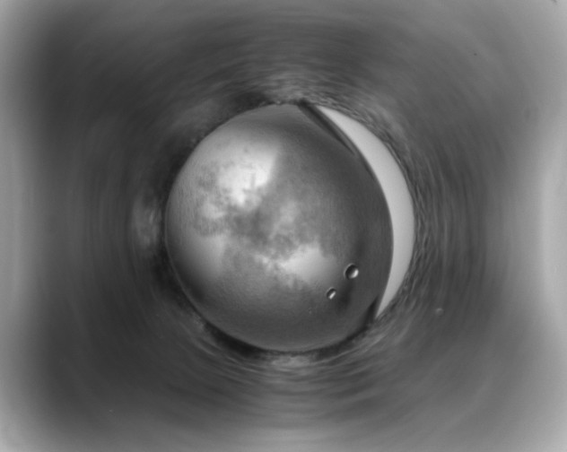 X0000088740081200705311455