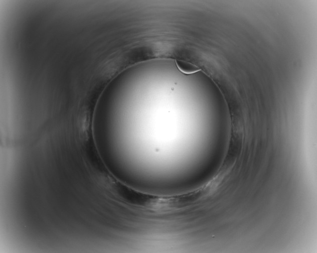 X0000088740082200705311455