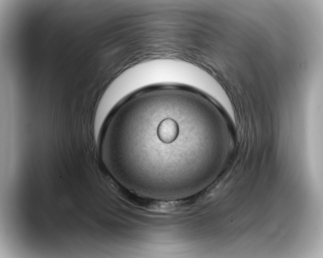 X0000088740084200705311455