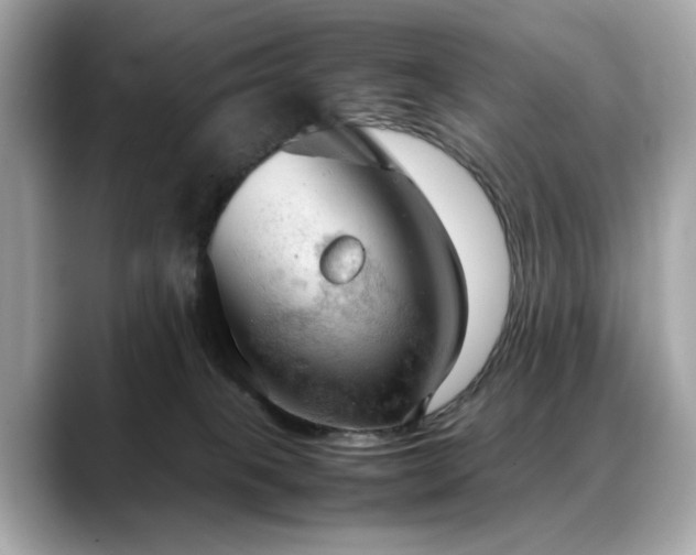 X0000088740085200705311455