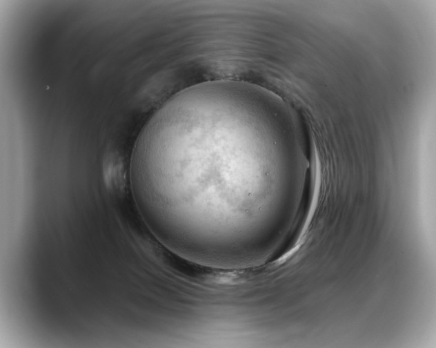 X0000088740086200705311455