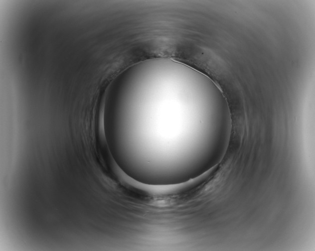 X0000088740088200705311455