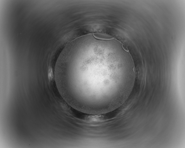 X0000088740089200705311455