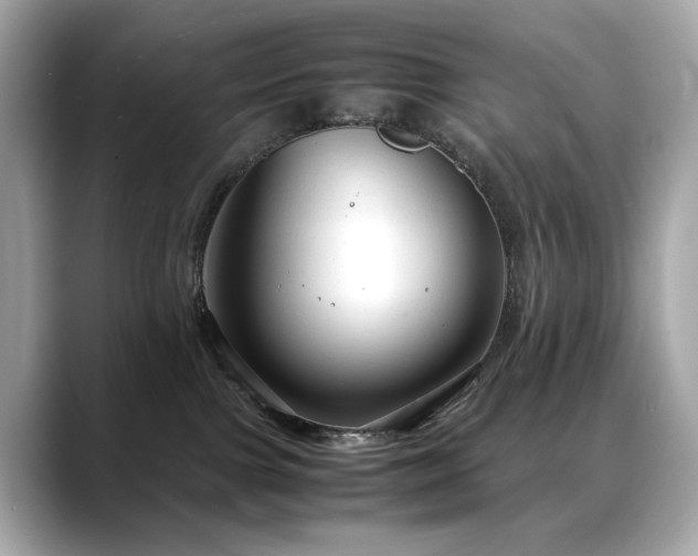 X0000088740091200705311455