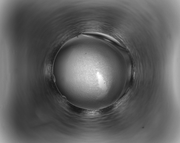 X0000088740093200705311455