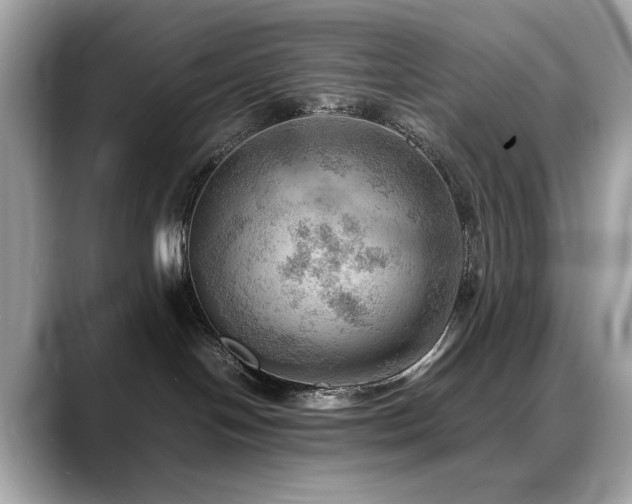 X0000088740094200705311455
