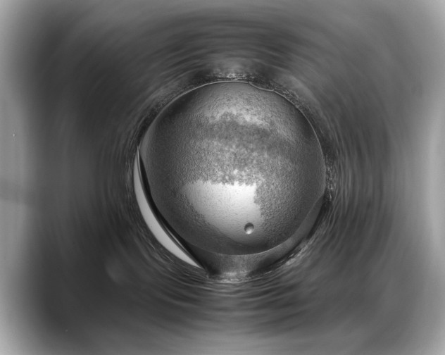 X0000088740095200705311455