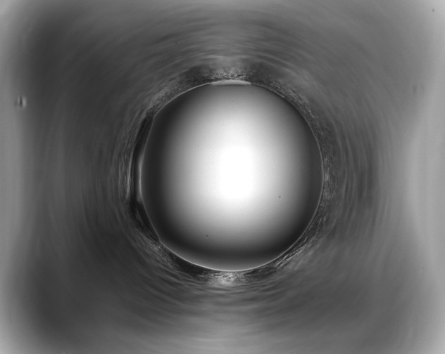 X0000088740096200705311455