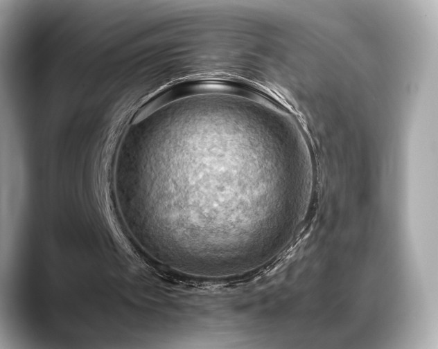 X0000088740097200705311455