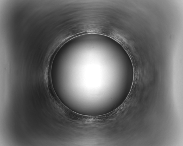 X0000088740098200705311455