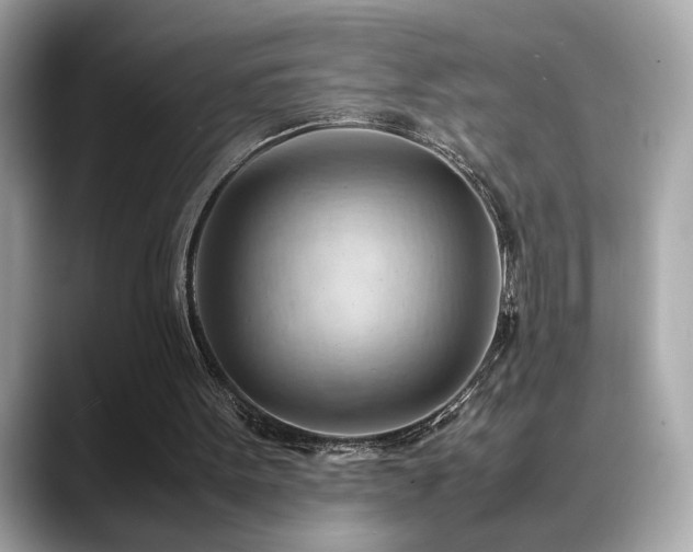 X0000088740099200705311455