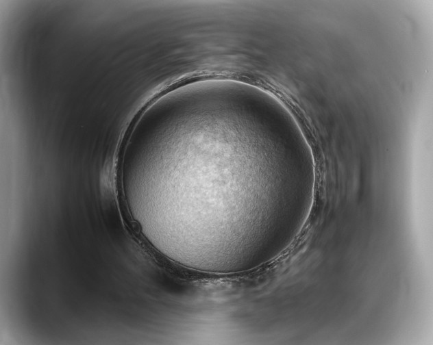 X0000088740100200705311455