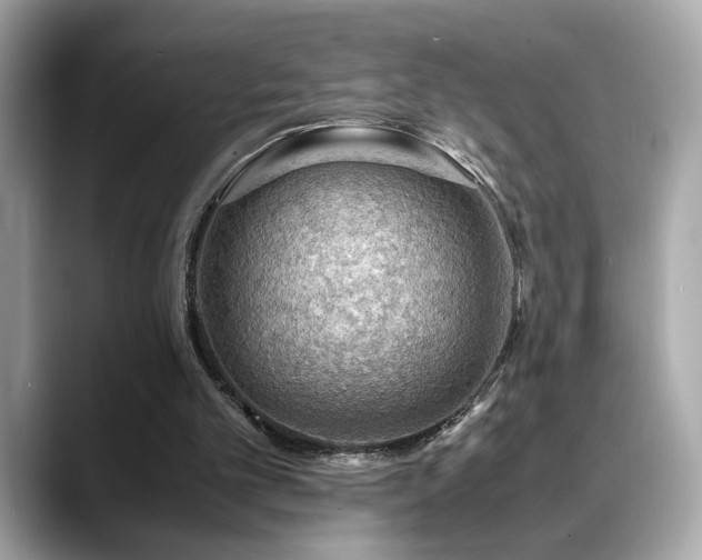 X0000088740101200705311455