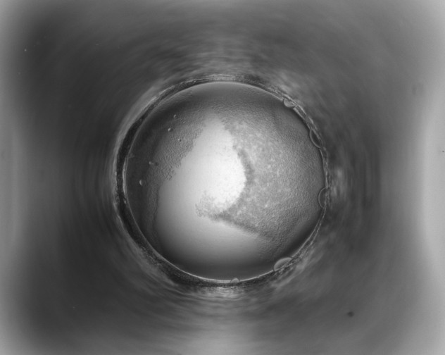 X0000088740102200705311454
