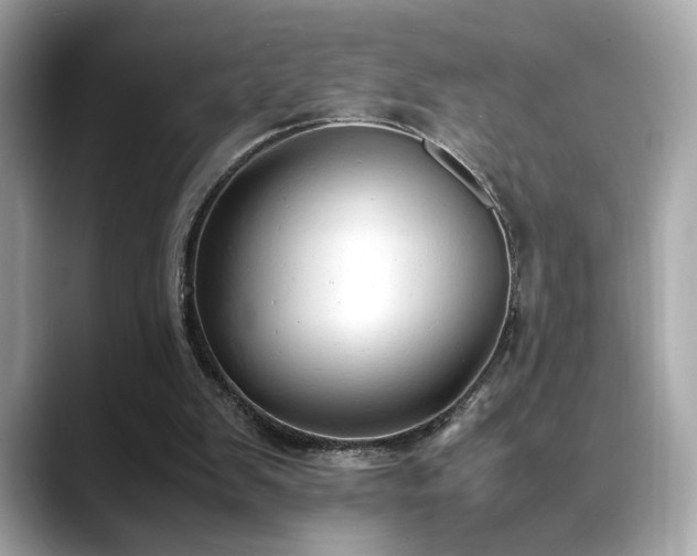 X0000088740103200705311454