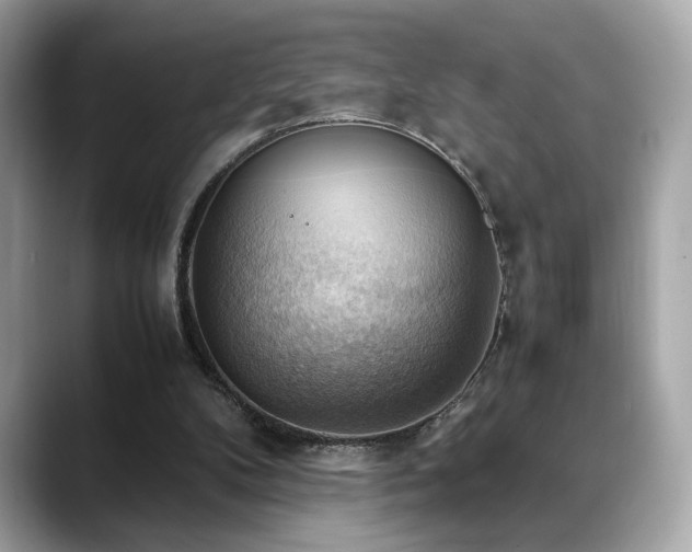 X0000088740104200705311454