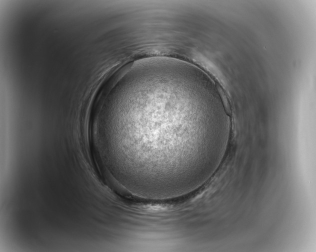 X0000088740105200705311454