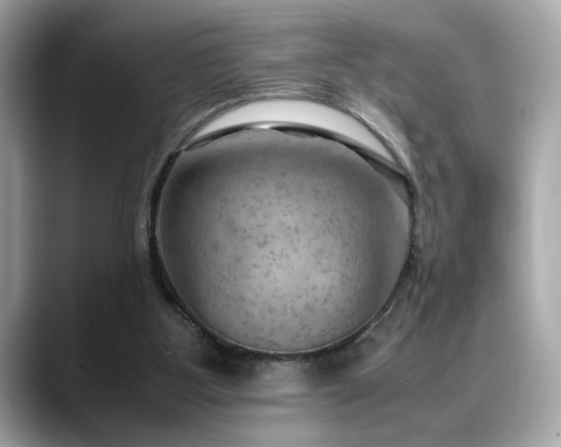 X0000088740107200705311454