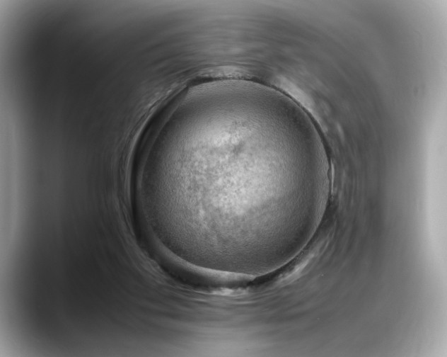 X0000088740109200705311454