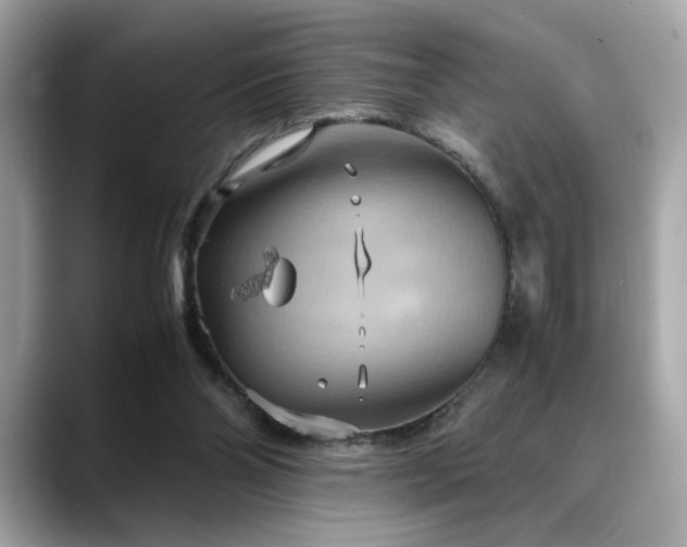 X0000088740110200705311454