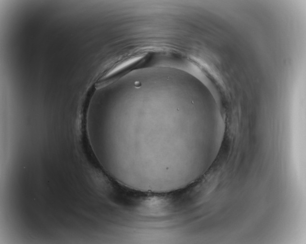 X0000088740111200705311454