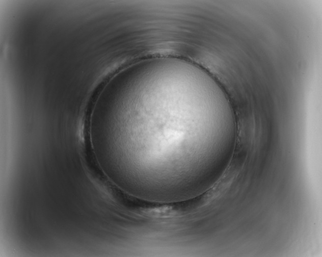 X0000088740112200705311454