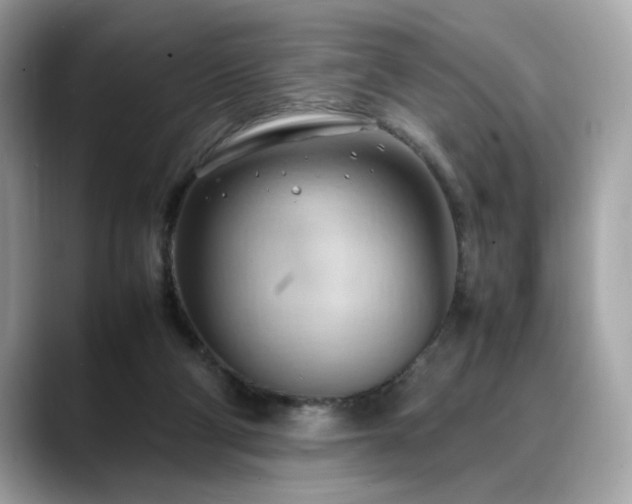 X0000088740114200705311454