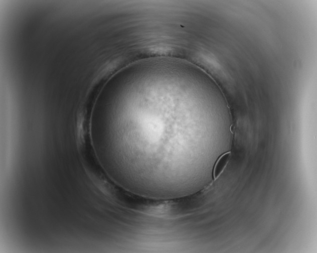 X0000088740116200705311454
