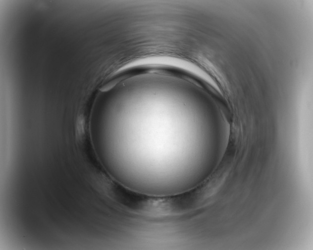 X0000088740117200705311454