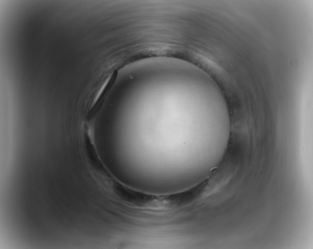 X0000088740119200705311454