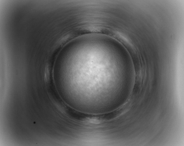 X0000088740120200705311454
