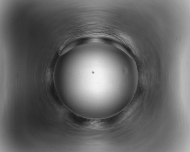 X0000088740121200705311454