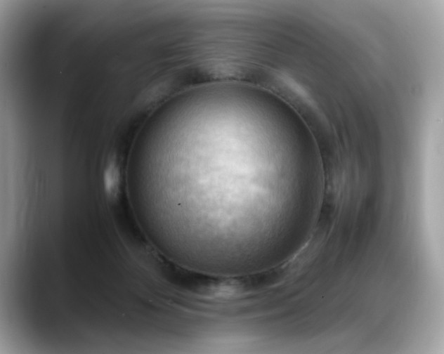 X0000088740124200705311454