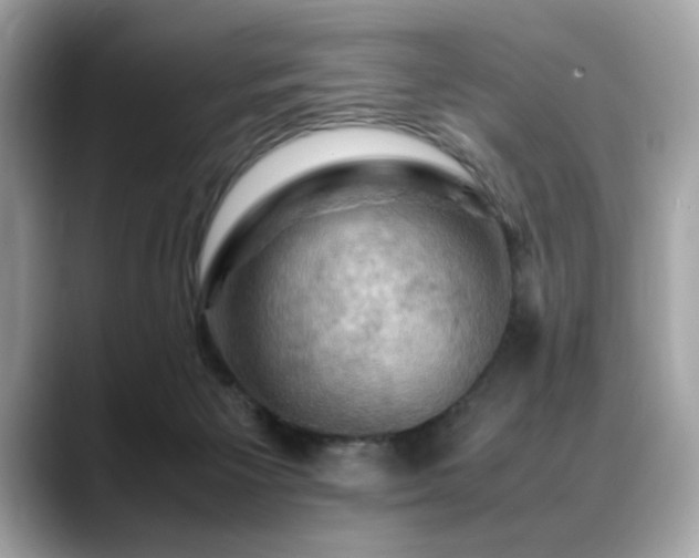 X0000088740125200705311454