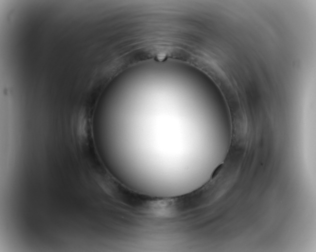 X0000088740126200705311454